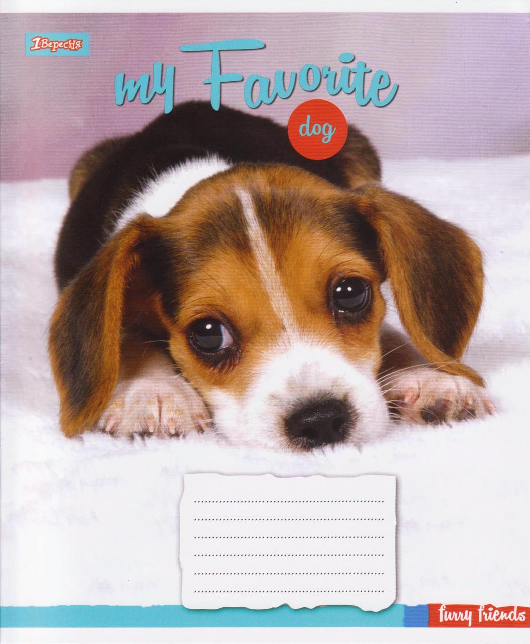 Зошит шкільна 18 аркушів. лінія "My Favorite dog", 760326