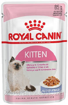 Royal Canin Kitten у желе, 12 шт.