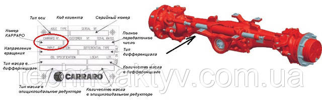 Для точного и безошибочного подбора необходимо знать номера мостов, а иногда и номер коробки передач (трансмиссии). Даже если подобранная запчасть подходит по размерам, но деталь была подобрана «на глаз» - такая запчасть может не простоять положенный срок службы, и износ наступит гораздо раньше, кроме того, это может повлечь за собой ускоренный износ смежных деталей. Шильдики (таблички производителя) – устанавливаются на мосты и трансмиссию на заводе производителе – это своего рода паспорт детали/узла в соответствии с каталогом запчастей Carraro (каталожный номер). Эти таблички достаточно надежно прикручены к корпусу трансмиссии/моста и как правило данные всегда возможно прочесть. Также, данные о номерах трансмиссии Carraro можно найти в документах к спецтехнике (желательно читать номера не по ПТС, а по документации к машине - там указывает именно номер Carraro, а не присвоенный номер Volvo (VOE), Terex, New Holland, CASE и пр.).  Мосты CARRARO группируются между собой и индефицируются по "номеру", который состоит из шести цифр и расположен в отдельном поле бирки моста. "номер CARRARO" является и номером моста или другого привода. Согласно "номера CARRARO" определяется каталог оригинальных запасных частей.