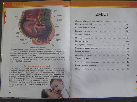 Септіма Енц. А-4 тб. пер.: "Людина", фото 5