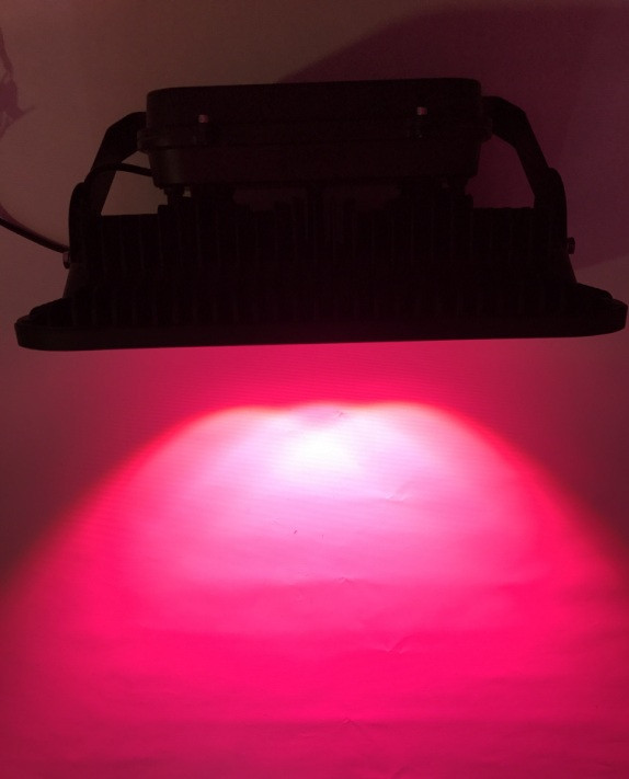 Світлодіодний фітопрожектор SL-200GLens 200W IP66 (full fito spectrum led) Код.58941