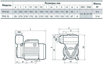 Поверхневий насос Насоси+ TPS 60, фото 2
