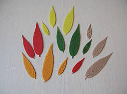 Листя верби з фетру.