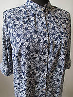 Блузи великого розміру жіночі