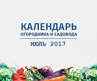Календар городника та садівника — ілюль 2017