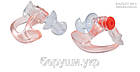 Бервуха SureFire EarPro EP3 Sonic Defenders тілесного кольору., фото 5