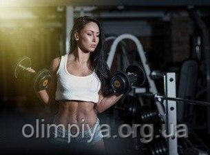 Особливості проходження курсів інструктори тренажерного залу Які умови вступу на курси тренерів тренажерного залу в Києві в школі Олімпія