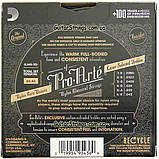Струны D'addario EJ45-3D Pro Arte Normal Tension 28-43 3 sets, фото 3