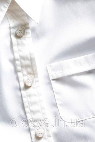 Блуза детская школьная с коротким рукавом Next Размер 6 лет - фото 4 - id-p553803728