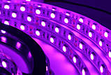 Світлодіодна стрічка 12V 5050(60LED/м) IP20 рожева, фото 4