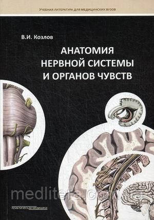 Козлов Анатомія нервової системи та органів чуття. Навчальний посібник