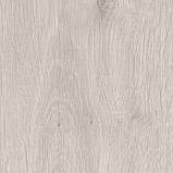 Ламінат Krono Original Variostep Classic Дуб Сент Морріс, фото 2