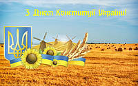 Вітаємо з Днем Конституції