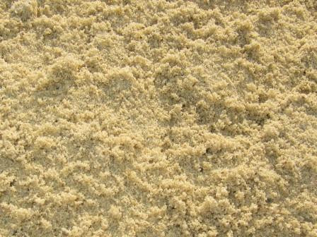 Пісок Беляївський (сіяний)