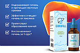 Cirrofoll — краплі для відновлення печінки (Циррофол), фото 2