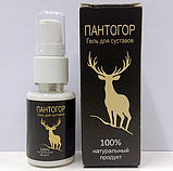 Пантогор - гель для суглобів greenpharm, фото 2
