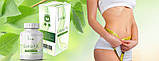 Prof Extra Fit - капсули для схуднення (Проф Екстра Фіт), фото 4