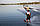 Водні лижі Allegre Combo Skis Yellow, фото 4