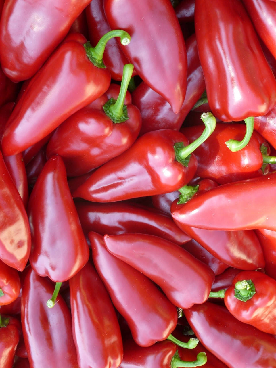 

Семена сладкого раннего перца Магус F1, 100 семян, толстостенный