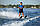 Водні лижі Allegre 67" Combo Skis Blue Pack (комплект), фото 4