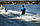Водні лижі Allegre 67" Combo Skis Blue Pack (комплект), фото 5