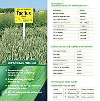Озимая пшеница ТАЦИТУС (Австрия) 1-репродукция
