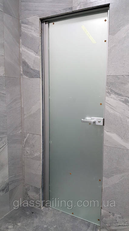Скляні двері в алюмінієвій коробці Скляні двері на планці-петлі