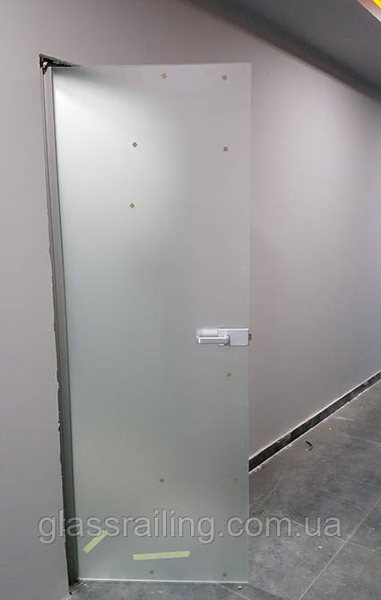 Скляні двері в алюмінієвій коробці Скляні двері на планці-петлі