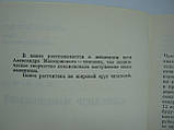 Шифман І.Ш. Олександр Македонський (б/у)., фото 6