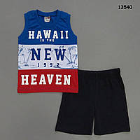 Літній костюм для хлопчика. 5-6 років