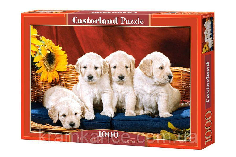 Купить Пазлы CASTORLAND 1000 "Puppies With Sunflower" ПЗ-101771, цена ...