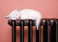 Опалення і антифриз