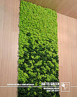Живі стіни зі стабілізованих рослин. Свіжість без поливу до 5 років!