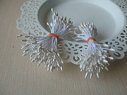 Тичинки глянсові загострені 0,2-0,3 см. Колір білий. 100 ниток — 200 головок