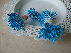 Тичинки глянсові загострені 0,2-0,3 см. Колір насичений блакитний. 100 ниток — 200 головок