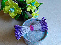 Тичинки дрібні (2-3 мм) колір бузковий глянець