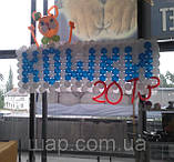 Панно з повітряних кульок для виставки кішок, фото 2