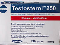 Testosterol 250 (Megabol, Польша) 30 кап. Тестостерол