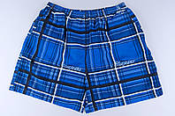 Чоловічі шорти в клітинку великого розміру (плащівка), синього кольору