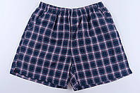 Чоловічі шорти в клітинку (Льон)