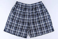 Чоловічі шорти в клітинку (Льон)