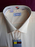 Сорочка для похорону чоловіча класична якісна 39-46 розмір, фото 2