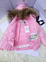 Зимовий костюм (куртка та напівкомбінезон для дівчинки moncler (монклер)