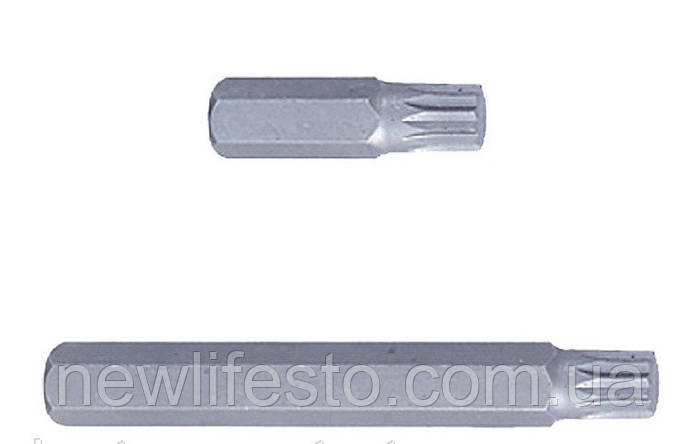 Бита Spline М10 (10х36мм) (ID#556551095), цена: 40 ₴, купить на Prom.ua