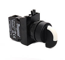 Перемикач CP100S20 0-1 з фіксацією (1НО) Емас