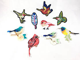 Нашивка Колібрі ліва 80х80, фото 4