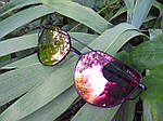 Сонцезахисні окуляри, колір лінз рожевий, фото 9