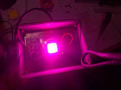 Фітопрожектор 20 W для рослин фітолампа fito