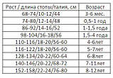 Колготки дитячі зимові махрові 68-74 ТМ "Дюна" / 5в446-1754-малиновий, фото 2