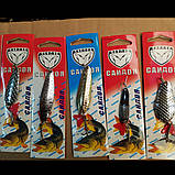 Блешня Саидоя асорті, фото 3